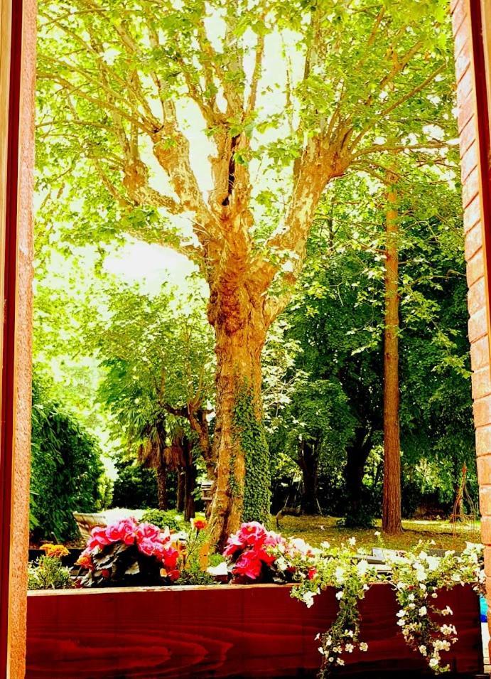 La Scierie Bed & Breakfast Quillan